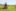 Kubota Z200 Series Zero-Turn Mower preview